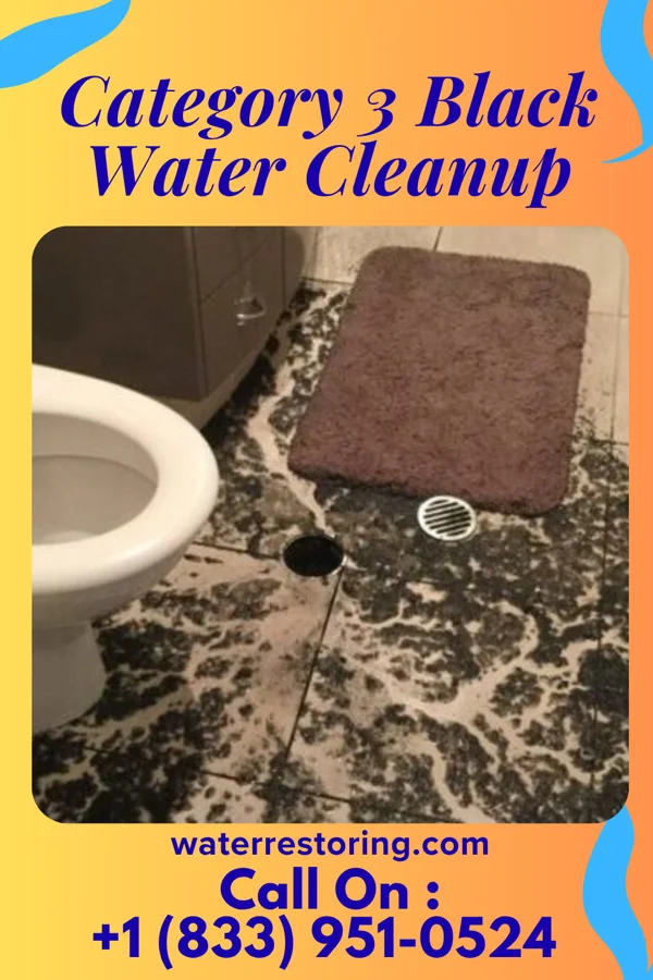 Category 3 Black Water Cleanup in Hodges, SC