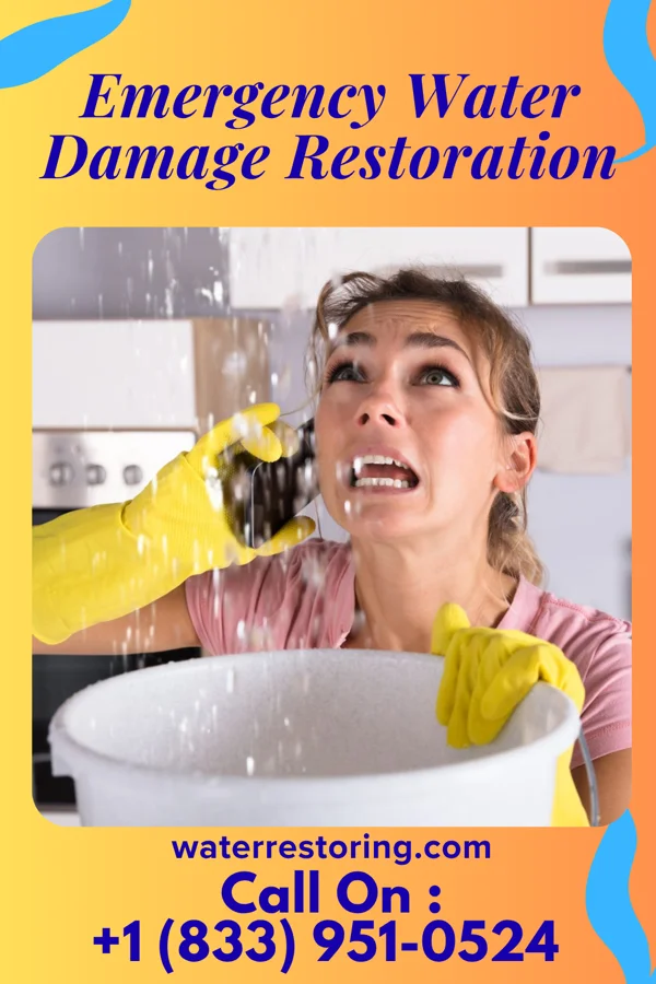 Emergency Water Damage Restoration in Hodges, SC