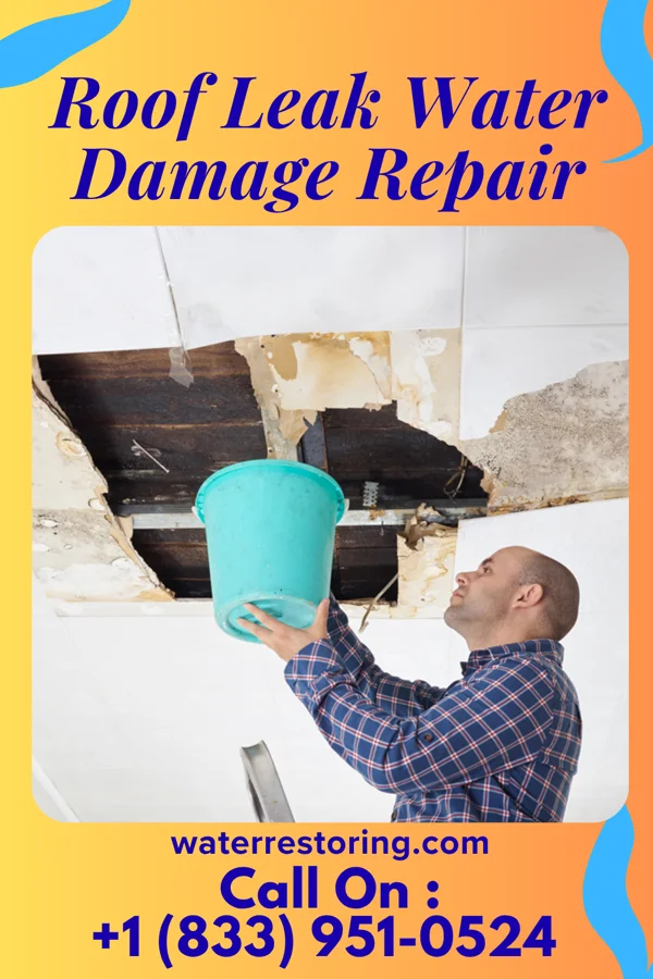 Roof Leak Water Damage Repair in Hodges, SC