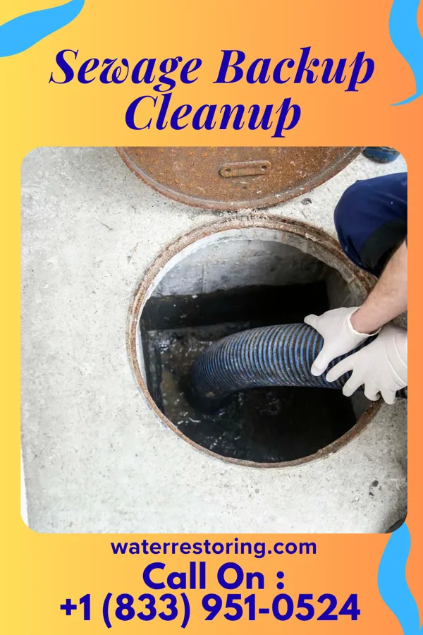 Sewage Backup Cleanup in Hodges, SC
